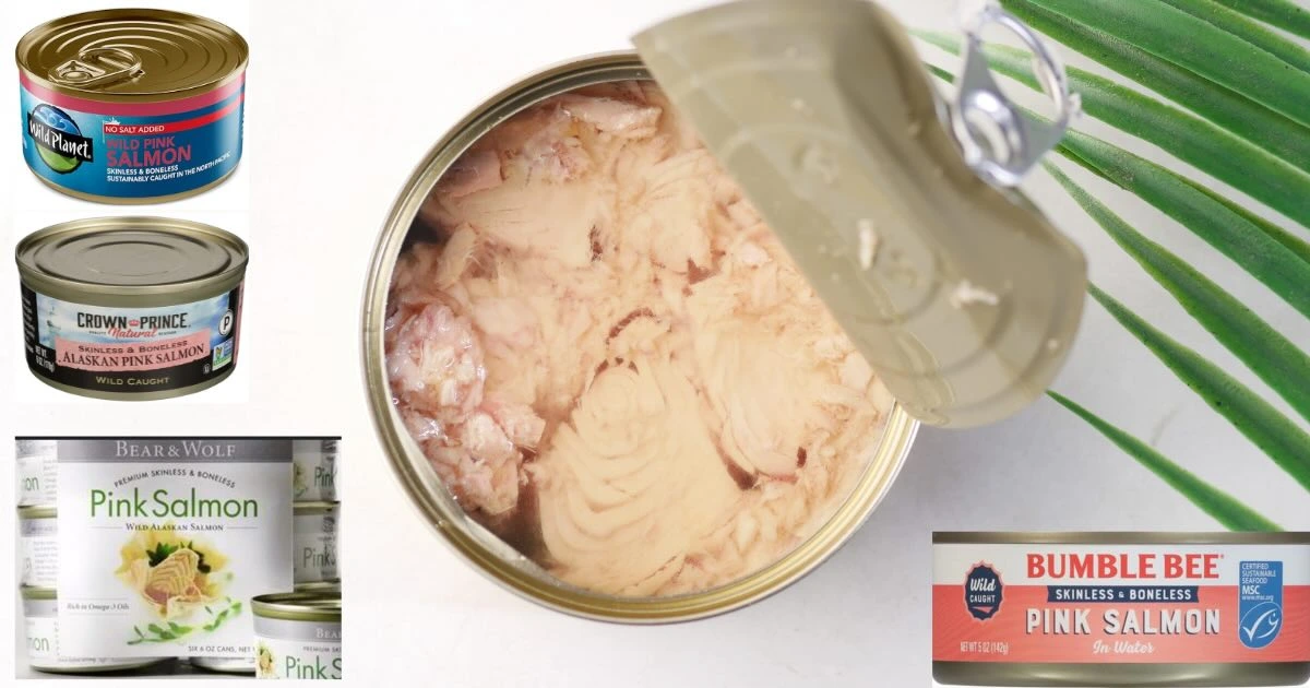 Best canned salmon